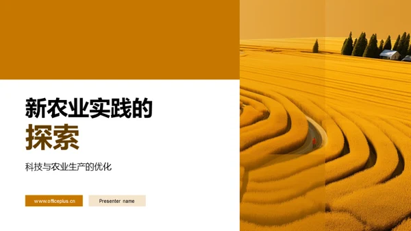 新农业实践的探索