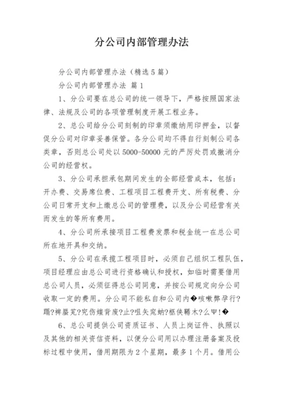 分公司内部管理办法_1.docx