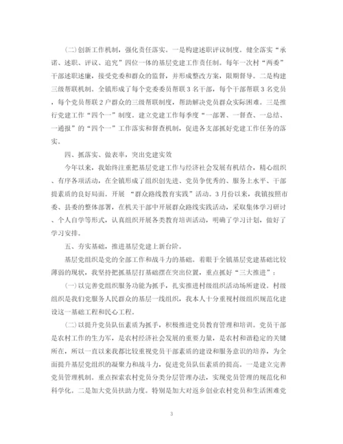 精编之村党支部书记述职工作总结优选范文.docx