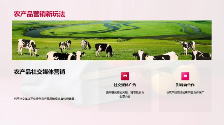 双十一 农产品新机遇