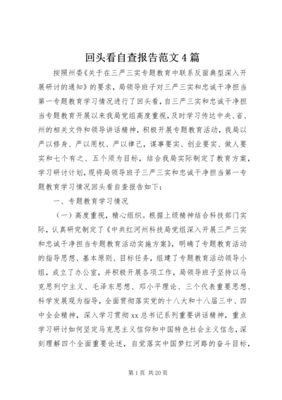 回头看自查报告范文4篇.docx