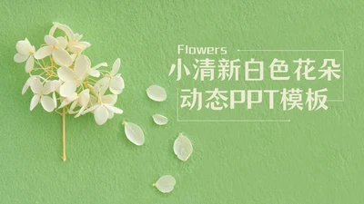 嫩绿色动态花瓣小白花通用PPT模版