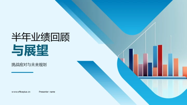 半年业绩回顾与展望