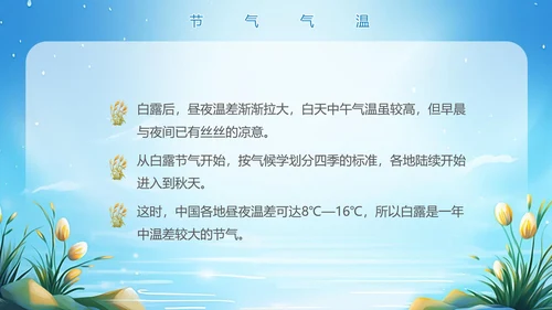 美丽的梦幻传统节气白露PPT模板