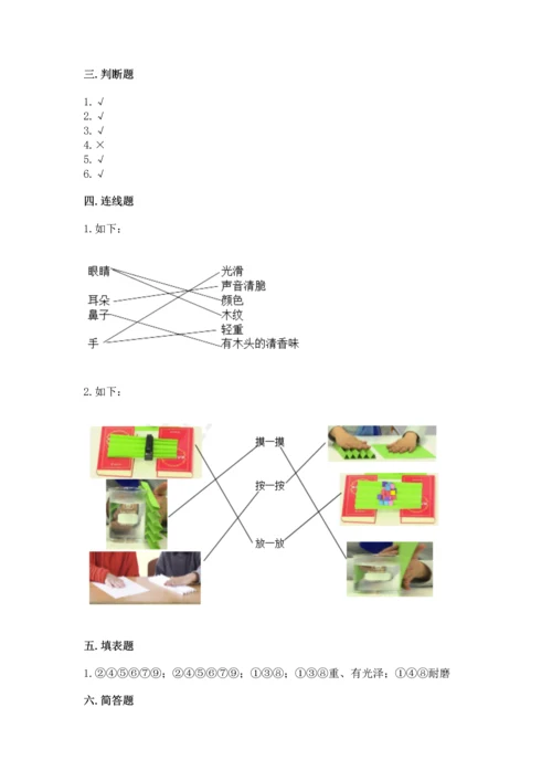教科版科学二年级上册《期末测试卷》精品【完整版】.docx