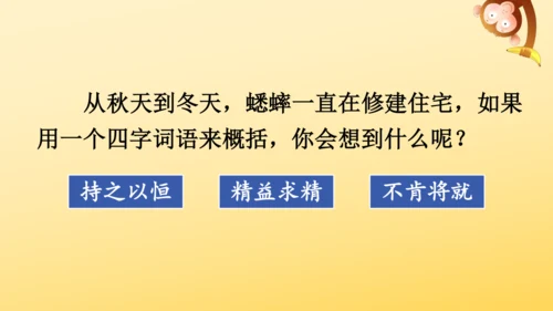 11 蟋蟀的住宅  课件