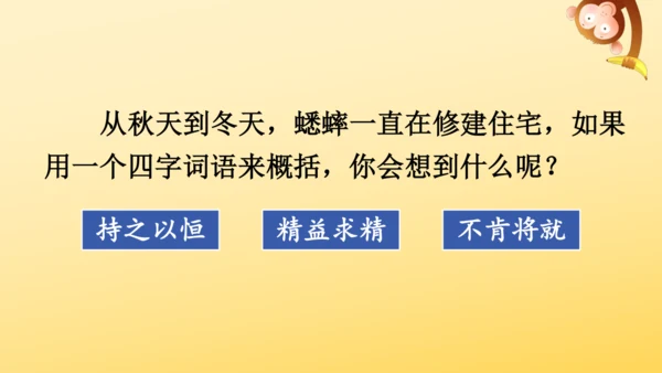 11 蟋蟀的住宅  课件