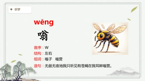 【2025春季学期教材】语文四下5.琥珀   生字识记课件