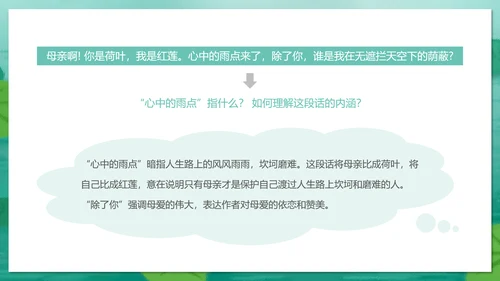 冰心《荷叶母亲》中学语文PPT课件