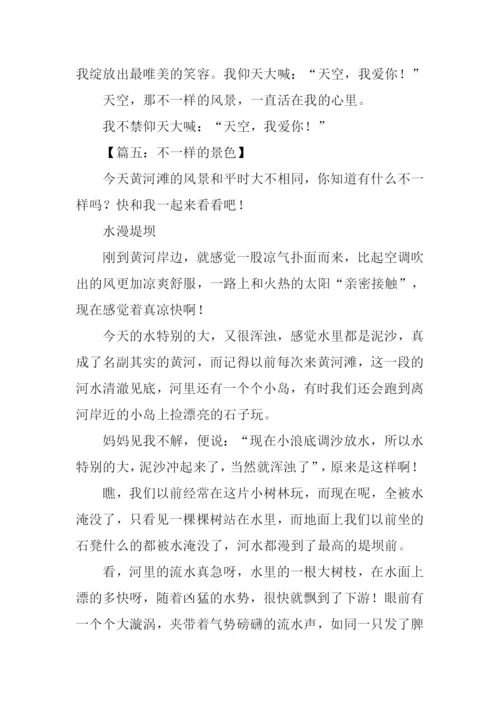 不一样的风景作文.docx