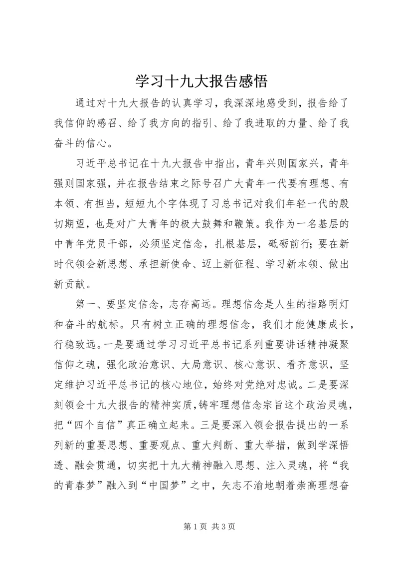 学习十九大报告感悟.docx