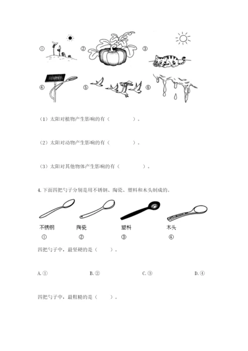 教科版科学二年级上册期末考试试卷（含答案）.docx