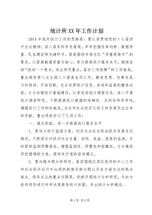 统计所XX年工作计划.docx