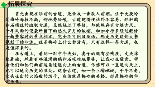 20 井冈翠竹 课件