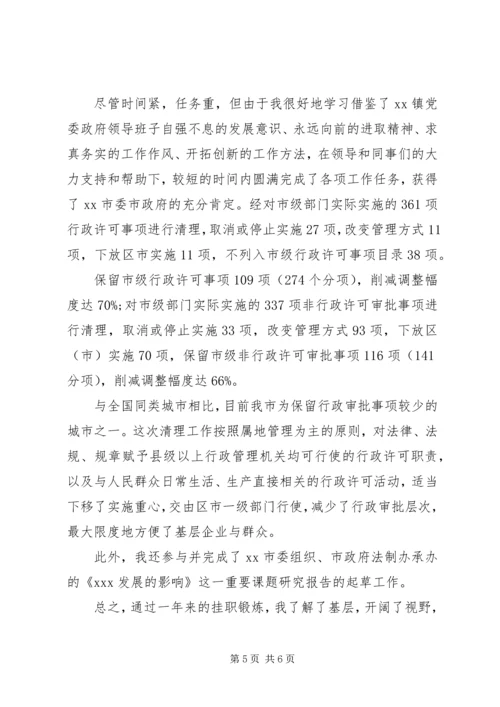 乡镇挂职工作情况报告总结.docx