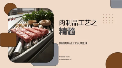 肉制品工艺之精髓