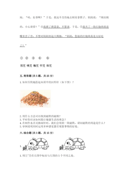 教科版小学科学二年级下册 期末测试卷（典优）.docx