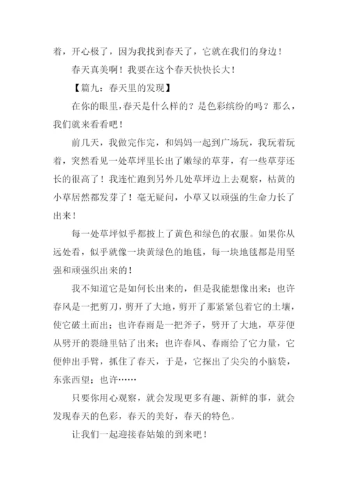春天里的发现作文300字.docx