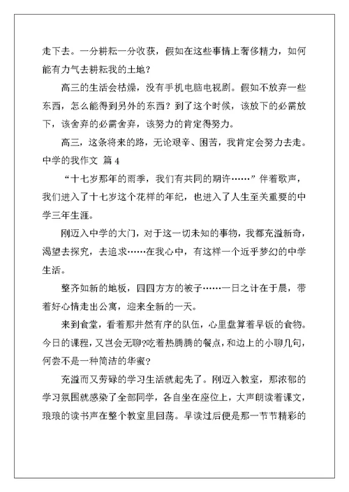 2022年实用的高中的我作文九篇