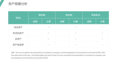 通用财务数据分析模板
