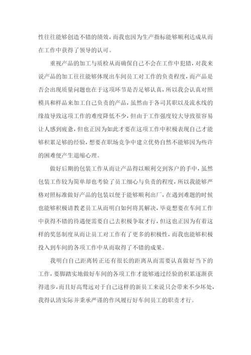 新员工试用期转正工作总结15篇.docx