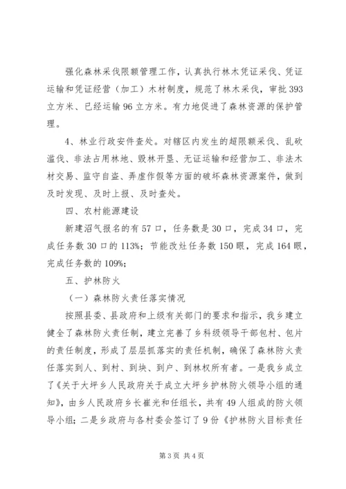 林业站年终总结及XX年工作计划 (2).docx