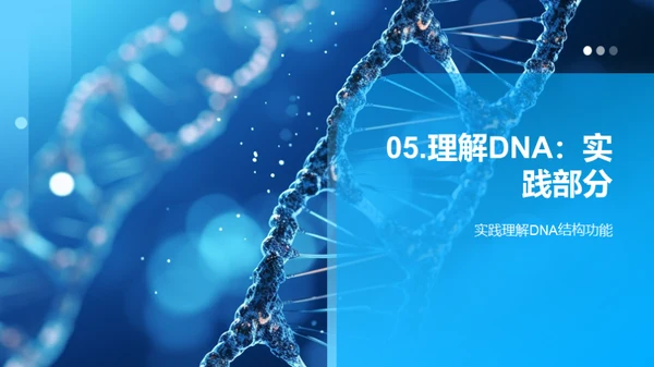 探秘生命密码：DNA