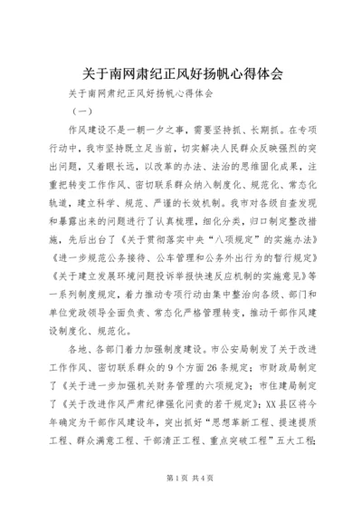 关于南网肃纪正风好扬帆心得体会.docx