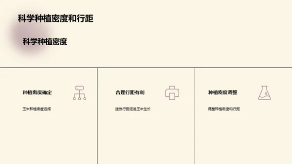 玉米种植新视野