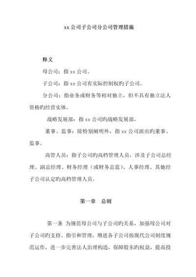 分公司管理新版制度.docx