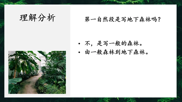 地下森林作家张抗抗作品解读PPT课件