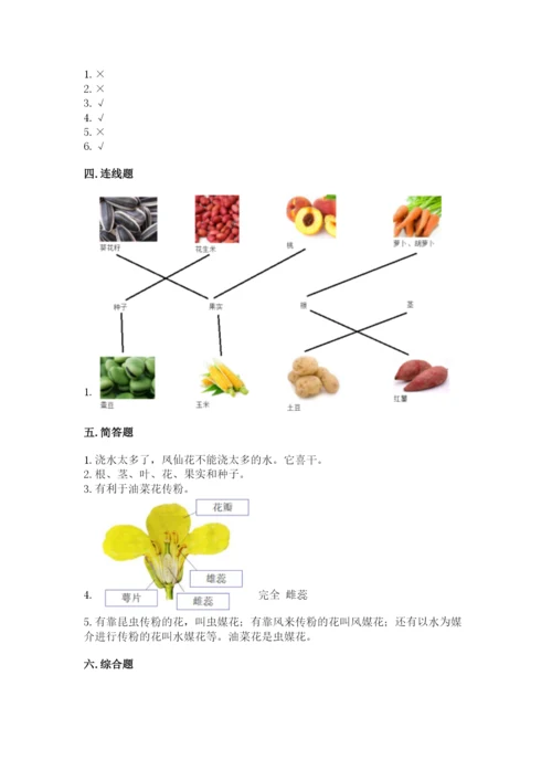 科学四年级下册第一单元植物的生长变化测试卷word.docx