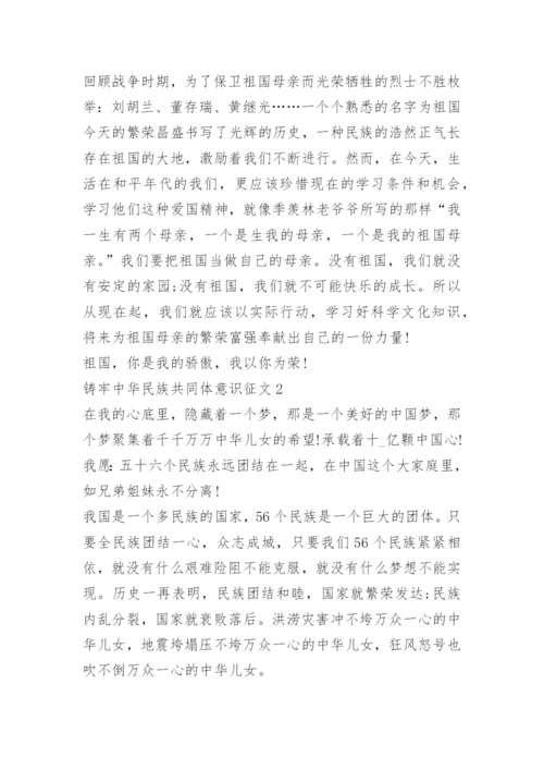 铸牢中华民族共同体意识征文12篇.docx