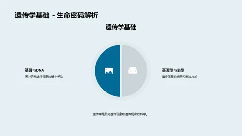 生物多样性：价值与保护