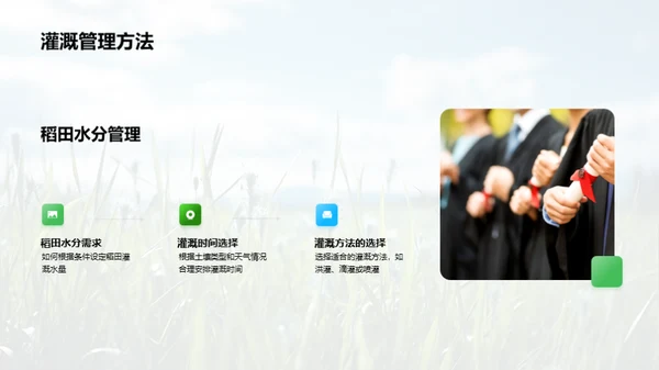 稻田科学种植