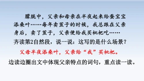 19.父爱之舟  教学课件（2课时）