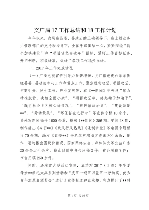 文广局17工作总结和18工作计划.docx