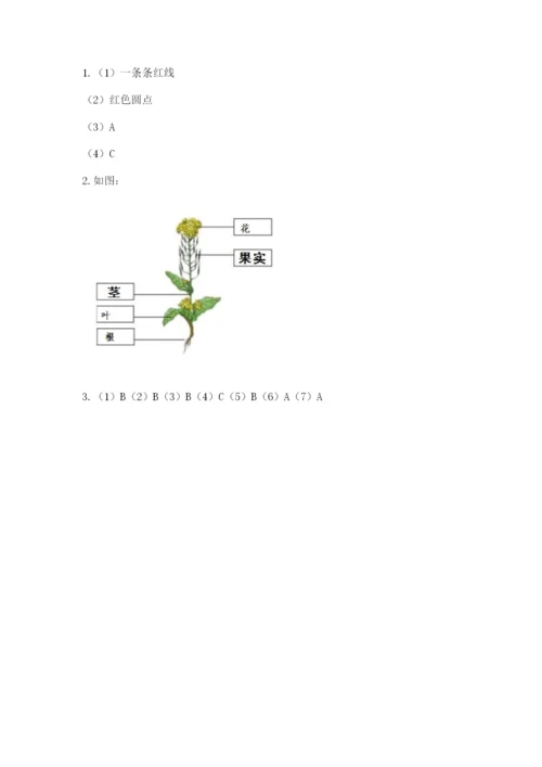 科学四年级下册第一单元《植物的生长变化》测试卷重点.docx