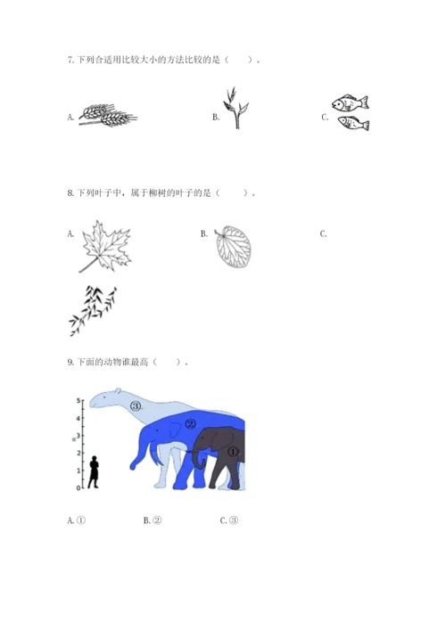 教科版一年级上册科学期末测试卷含答案ab卷.docx