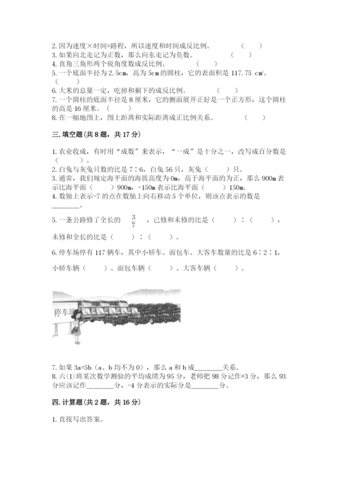 北京版六年级下册数学期末测试卷【夺冠系列】.docx