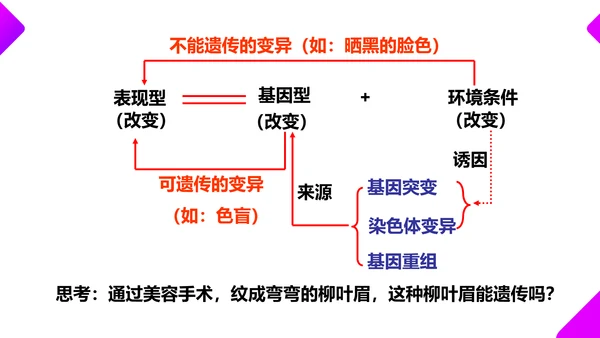基因突变和基因重组初高中生物PPT课件