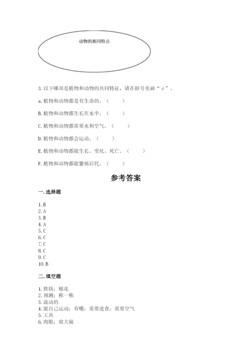 教科版一年级下册科学期末测试卷附完整答案【全优】.docx