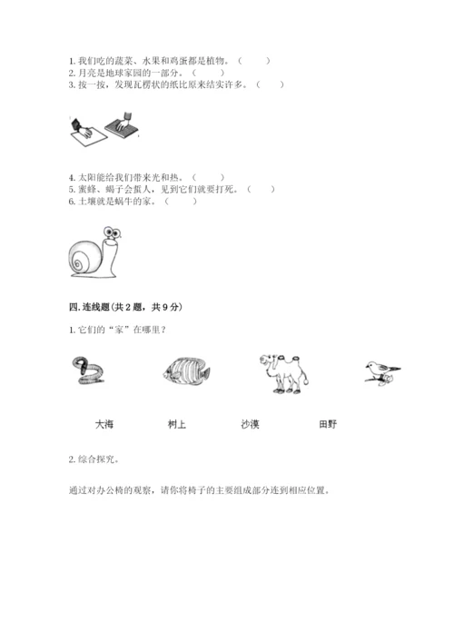 教科版小学二年级上册科学期末测试卷（夺冠系列）.docx