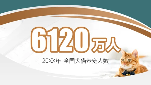 宠物领养猫咪通用PPT模板
