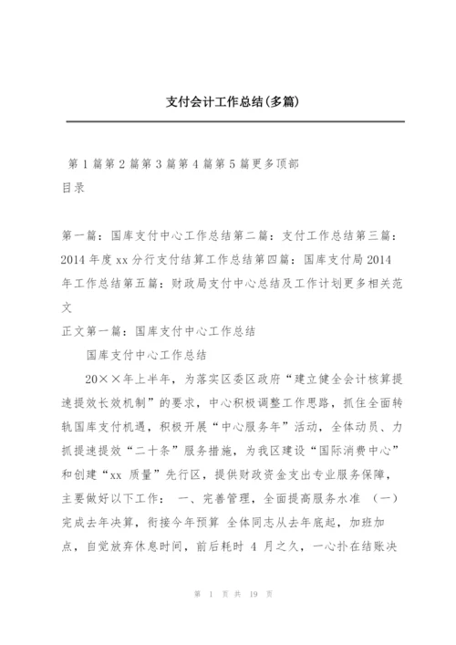 支付会计工作总结(多篇).docx