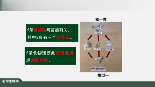 1.2.2 生物与环境组成生态系统 课件（共25张PPT）