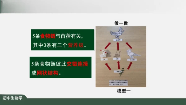 1.2.2 生物与环境组成生态系统 课件（共25张PPT）
