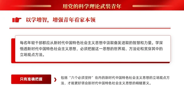 红色党建抓好后继有人推动主题教育走深走实PPT