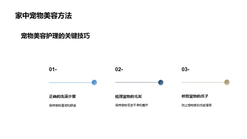 打造家庭宠物美容室