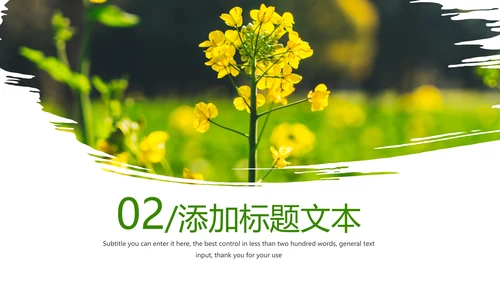 春天乡村旅游油菜花风景油菜花田PPT模板